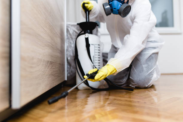 Pest Prevention Services in Glencoe, FL